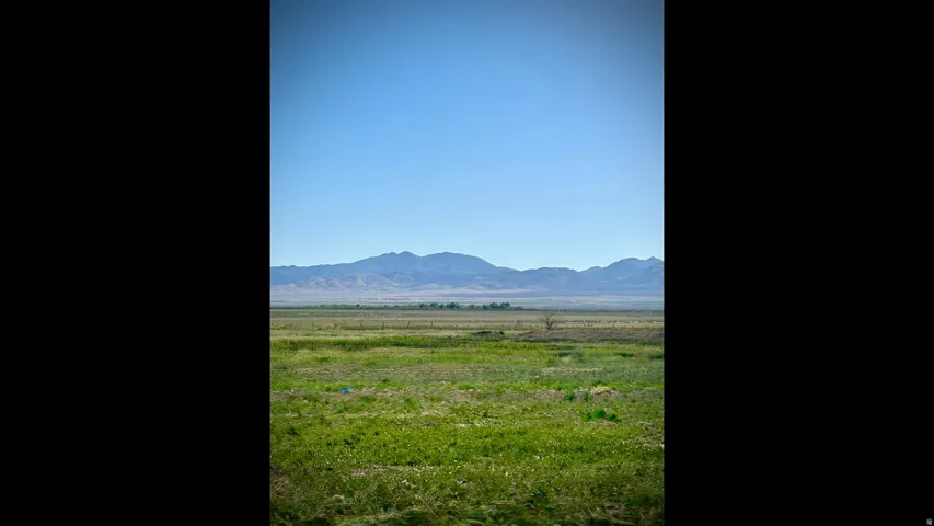Expansive open land with green ground cover and a mountain range backdrop under a clear sky