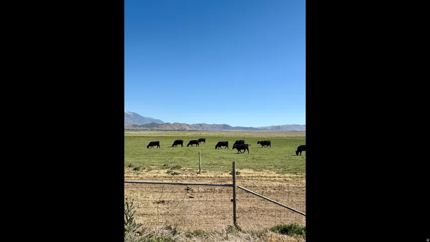 Expansive green pastures framed by distant mountains and a clear blue sky