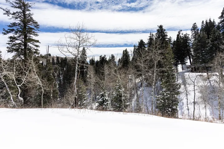 Snowy view
