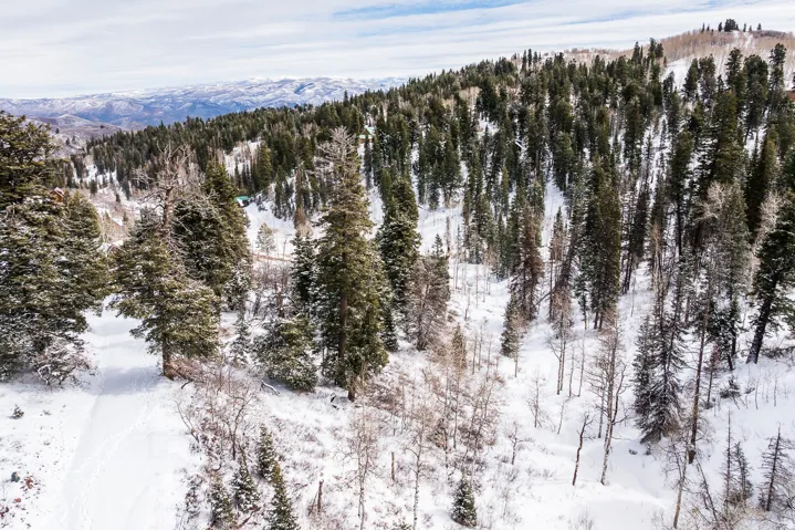 View of mountain backdrop with a forest