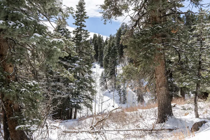 View of snow covered land