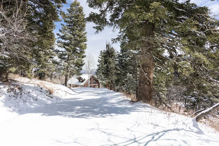 View of yard covered in snow