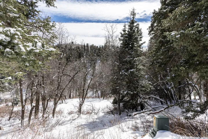 View of snow covered land