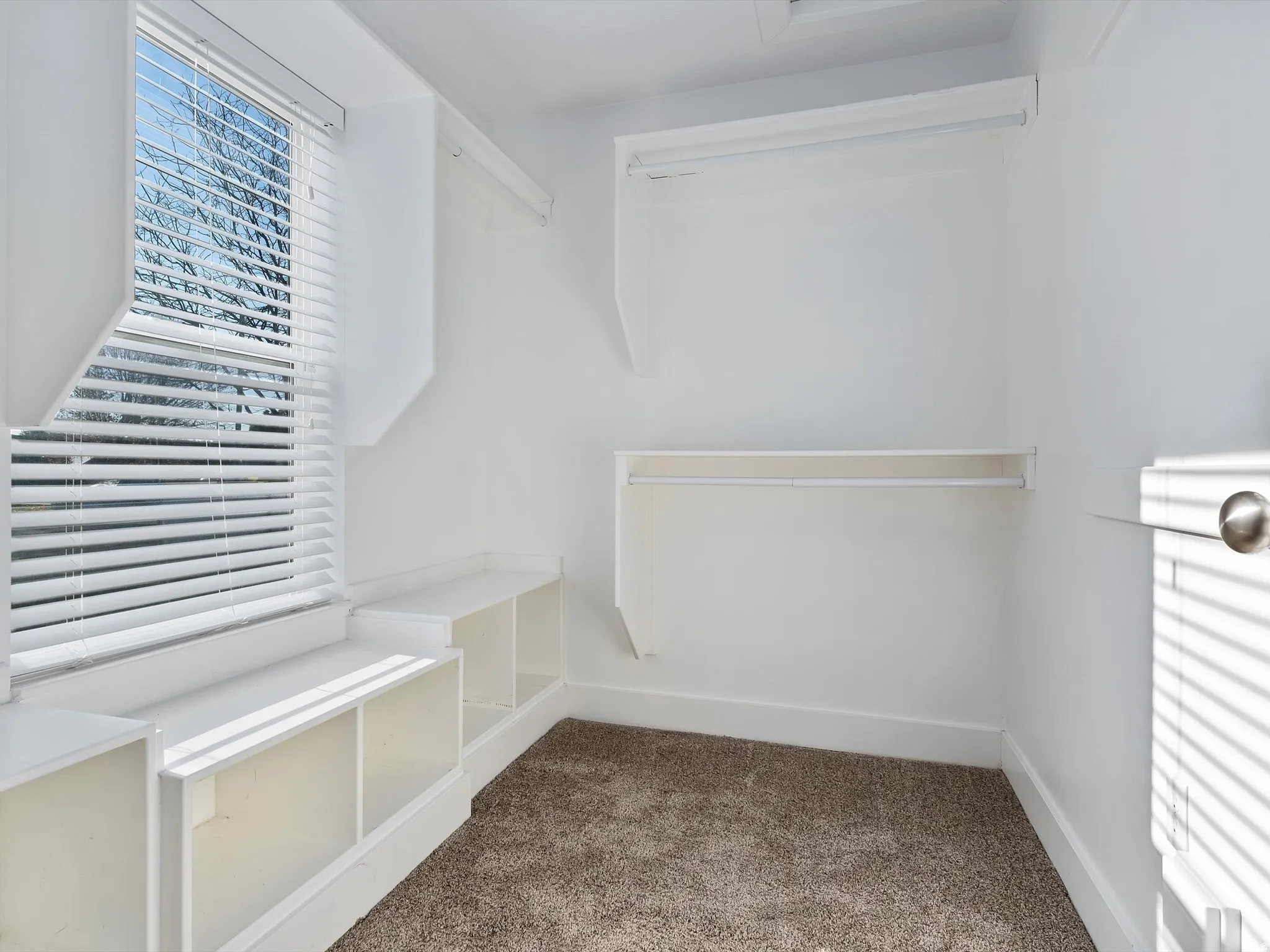 Walk in closet featuring carpet floors