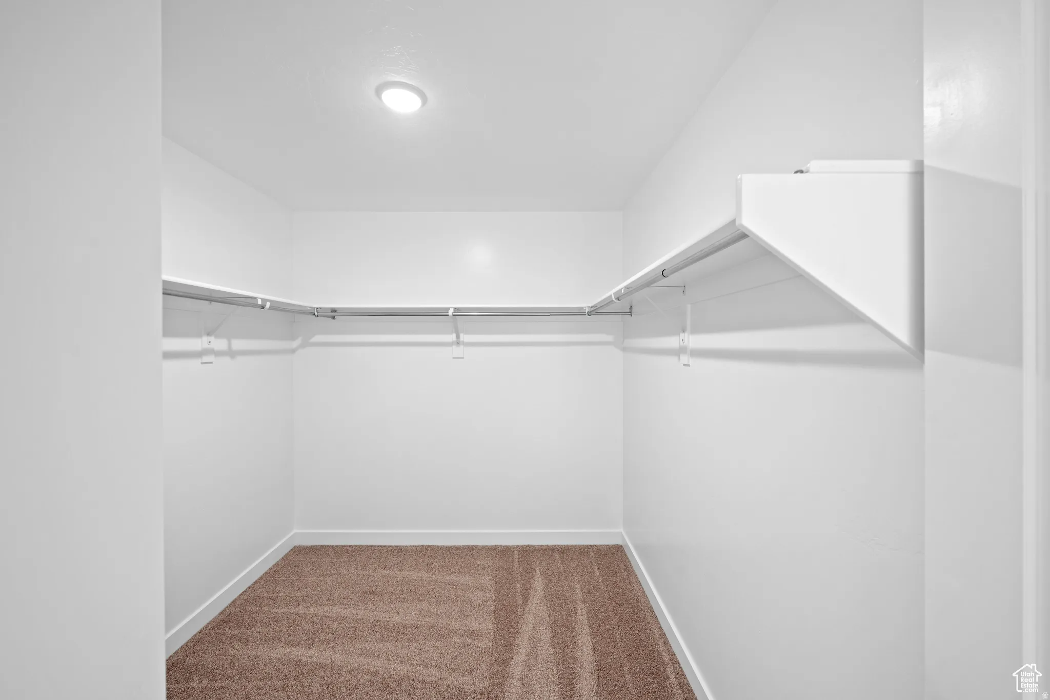 Walk in closet featuring carpet floors