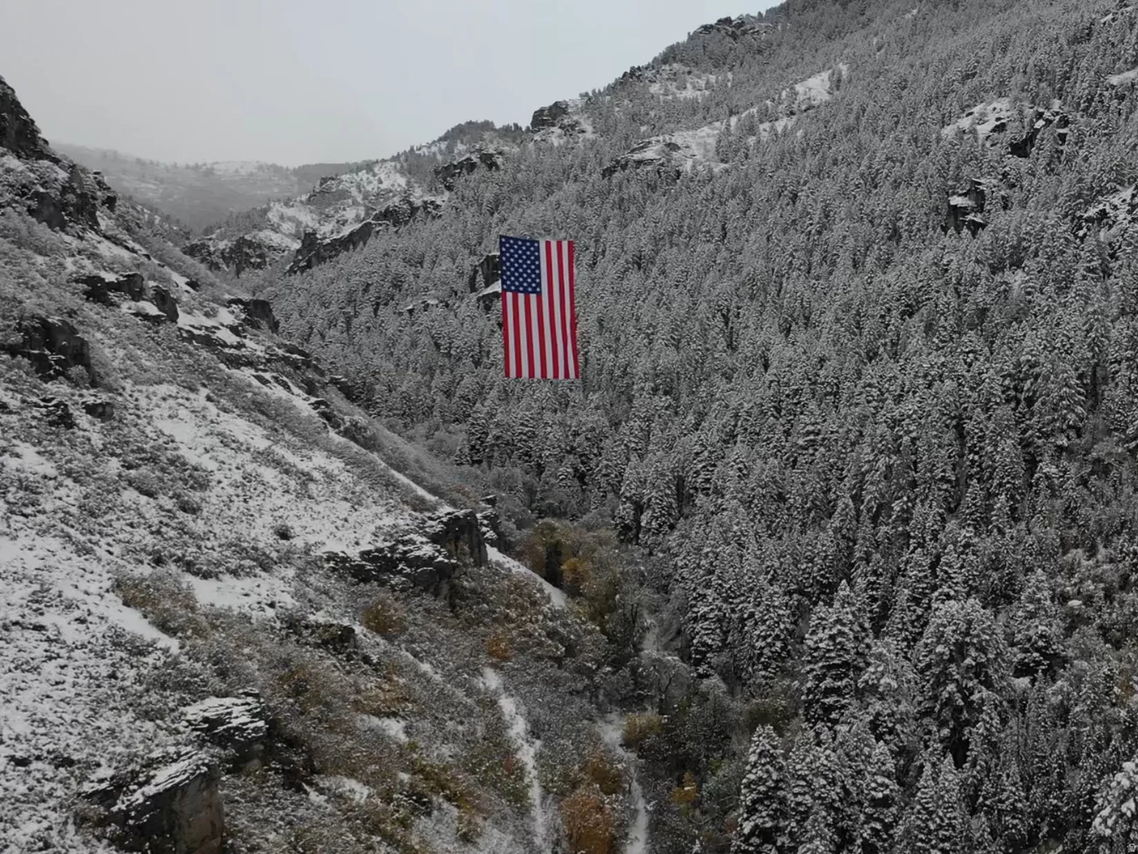 Exterior view of a mountainous background and a heavily wooded area