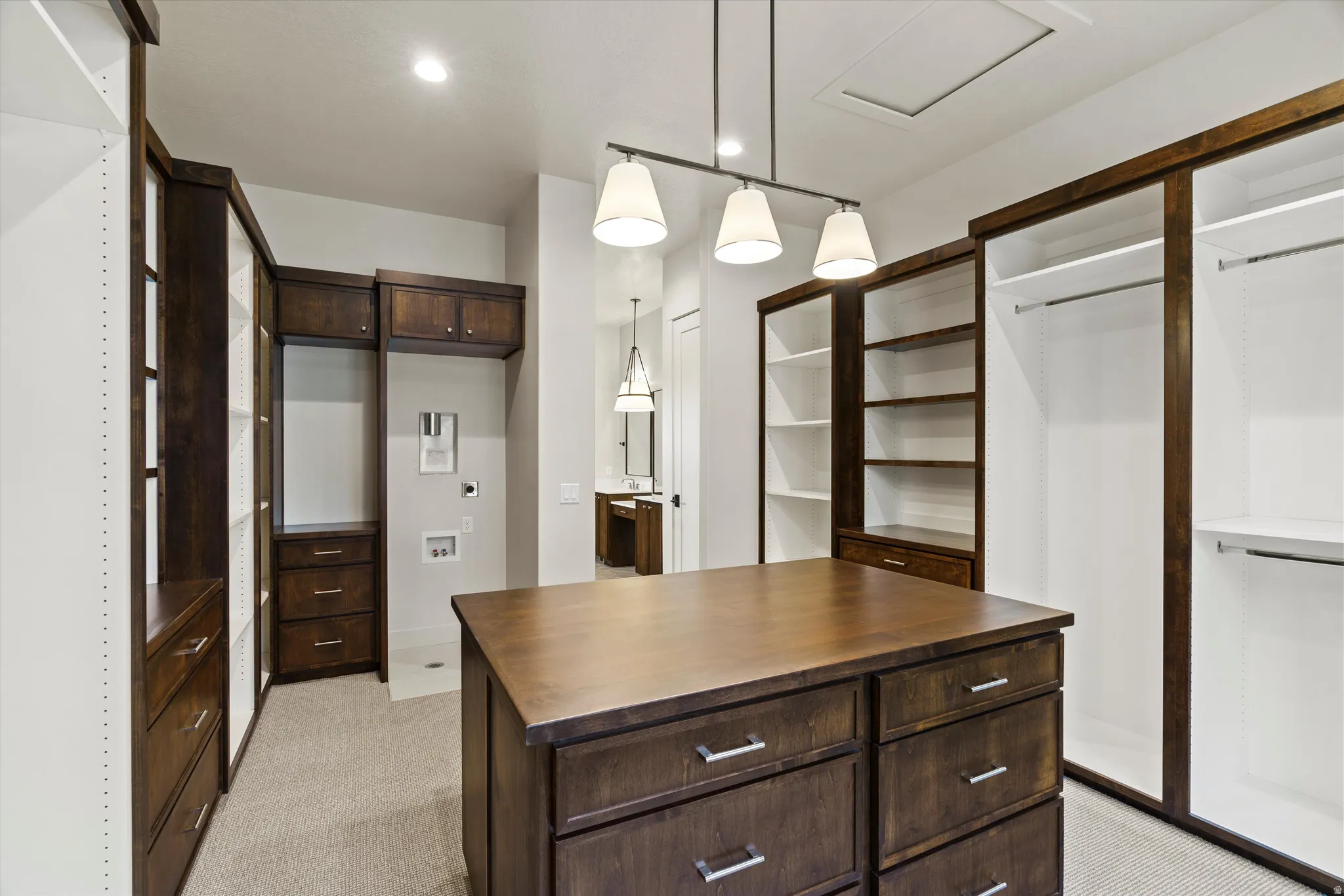 Walk in closet with light colored carpet