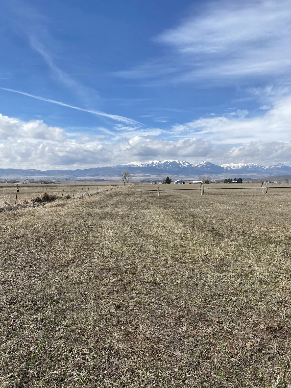 View of yard with a rural view and a mountain view