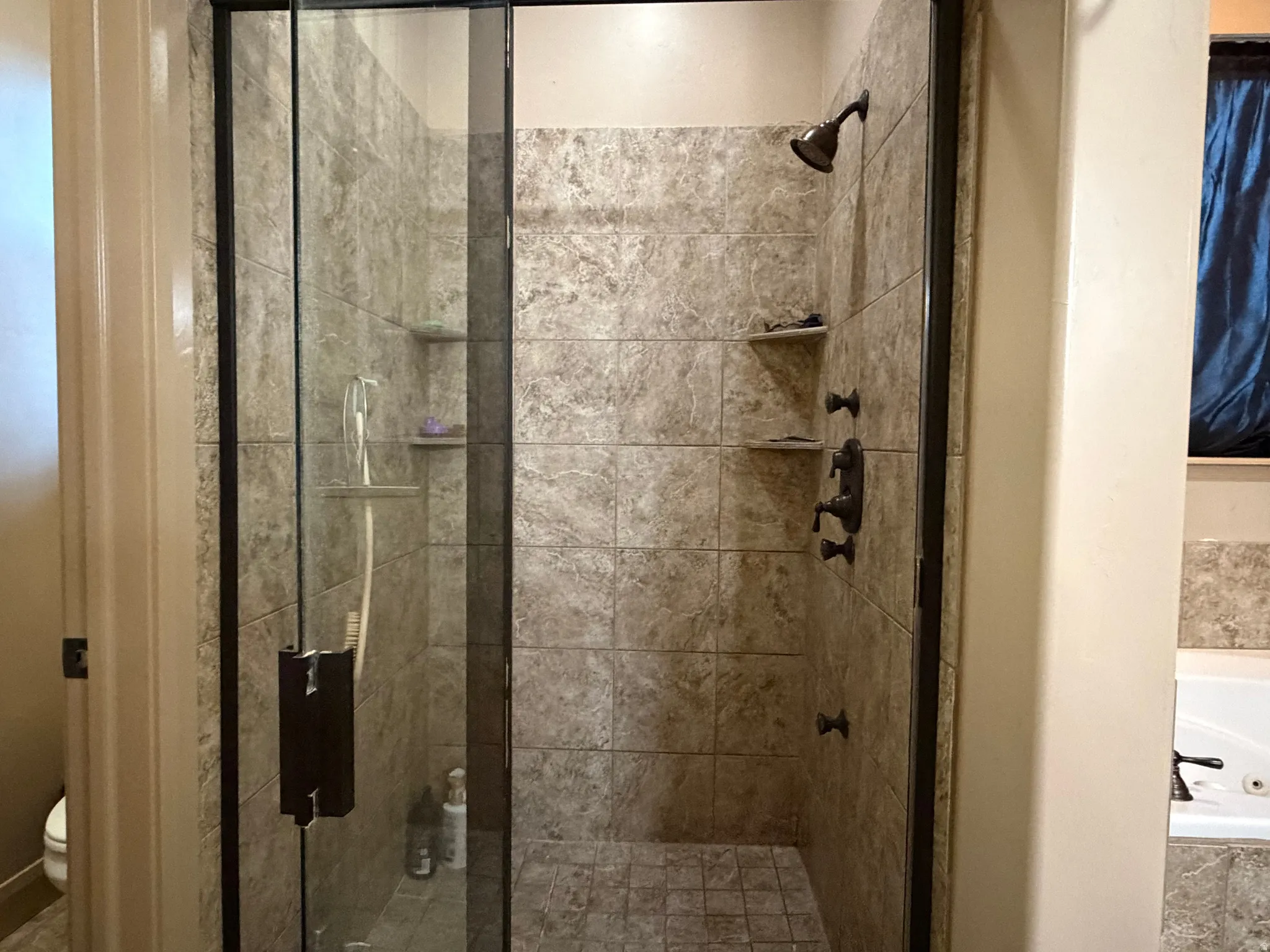 Bathroom with a garden tub and a shower stall