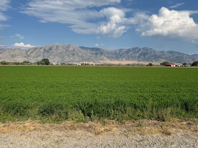 Expansive green field with distant mountain range backdrop