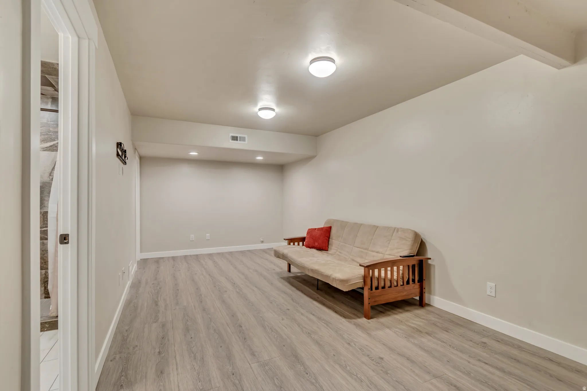 Basement Living Room