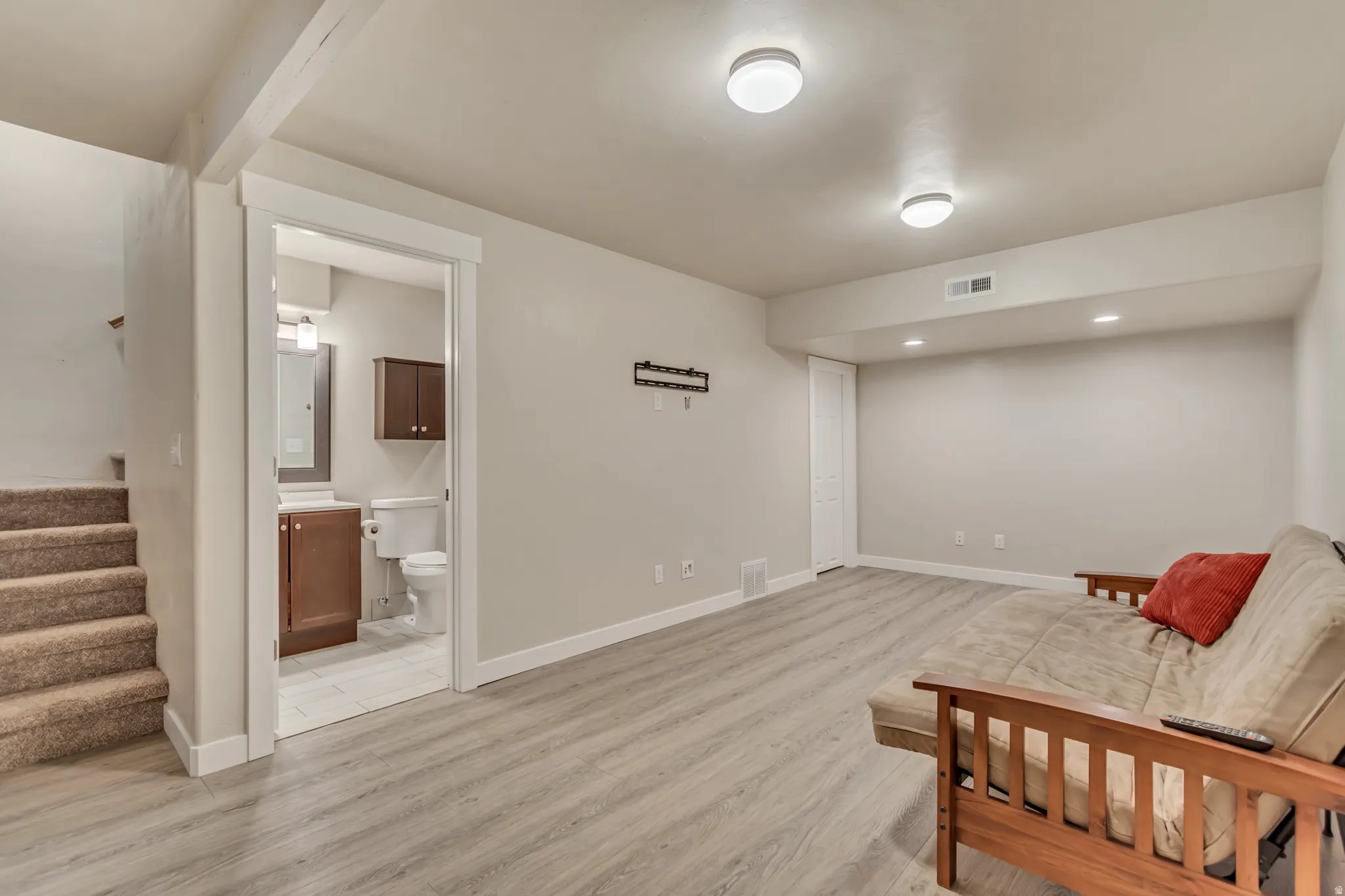 Basement Living Room