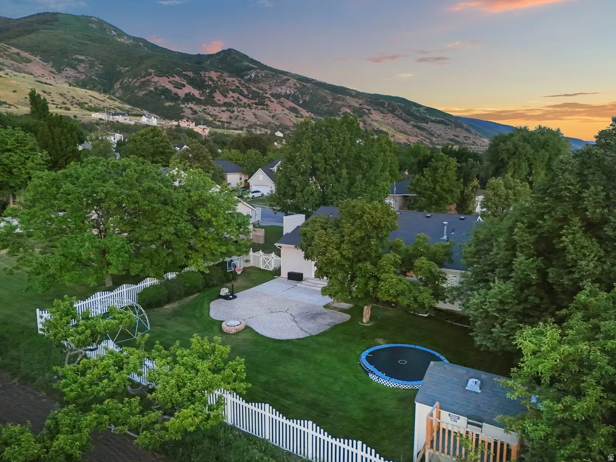 Expansive backyard featuring a green lawn, mature trees, and a concrete patio