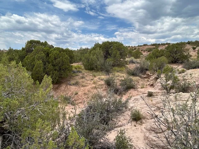 View of undeveloped land featuring rural landscape
