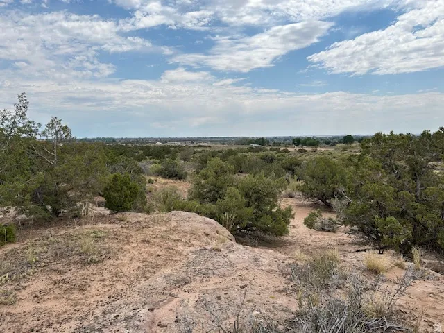 View of nature with rural landscape