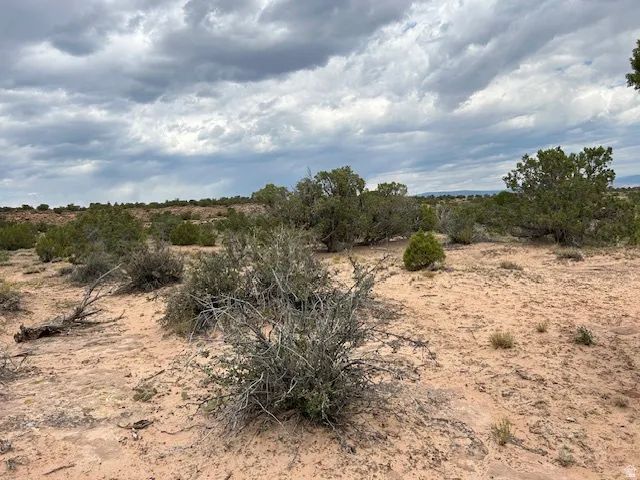 View of nature with rural landscape