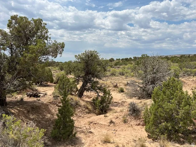 View of undeveloped land featuring rural landscape