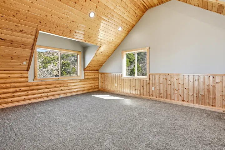 Additional living space with recessed lighting, carpet flooring, wood ceiling, a wainscoted wall, and wooden walls