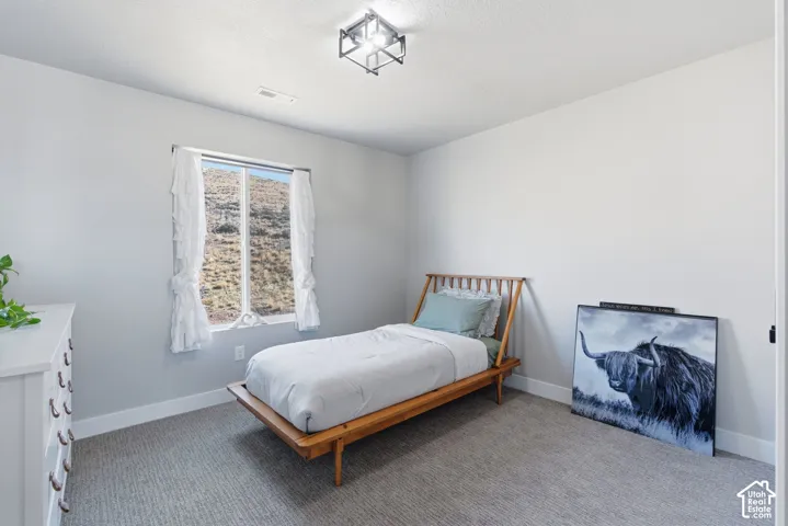 Large Bedroom