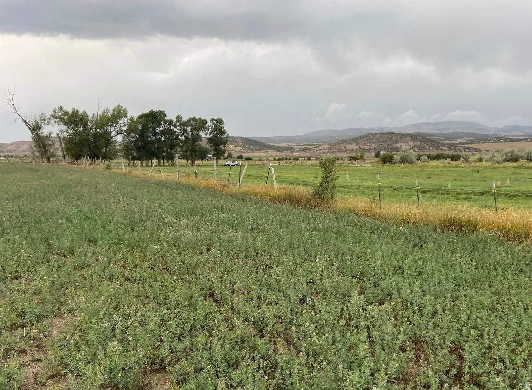 View of yard featuring a mountain view and a rural view