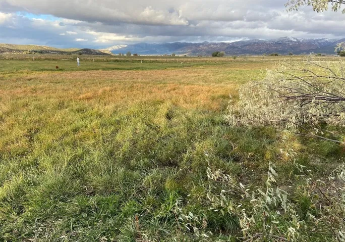 View of nature with a mountainous background and rural landscape