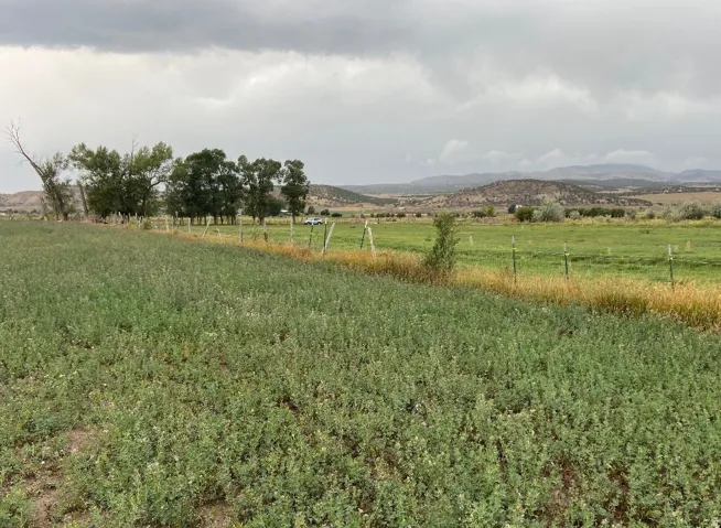 View of yard featuring a mountain view and a rural view