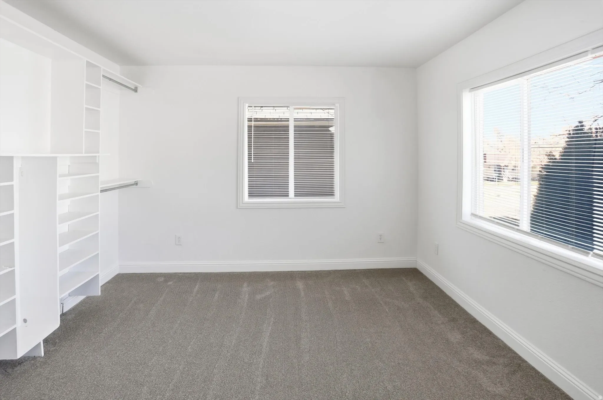 Walk in closet featuring dark colored carpet