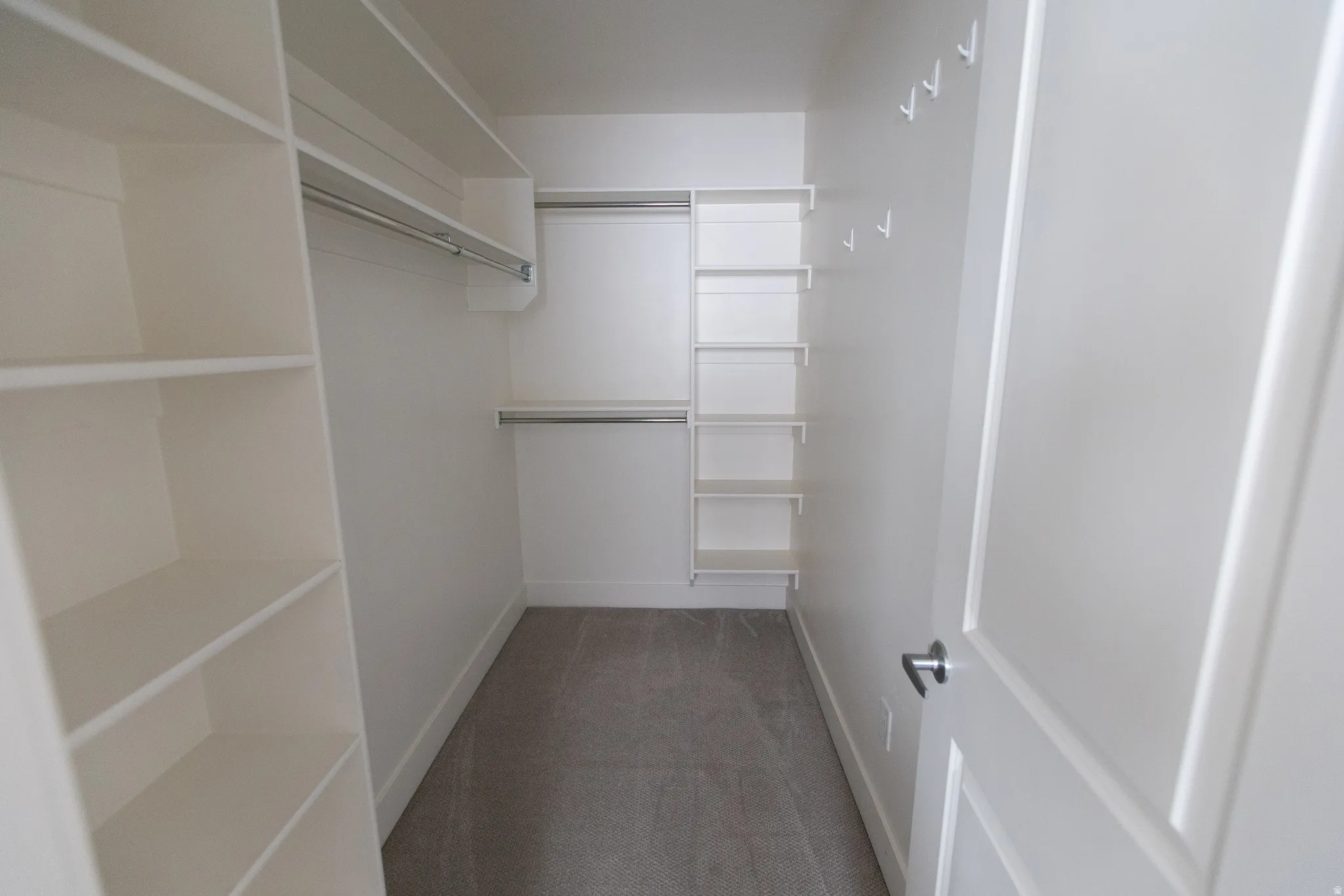 Walk in closet featuring dark colored carpet