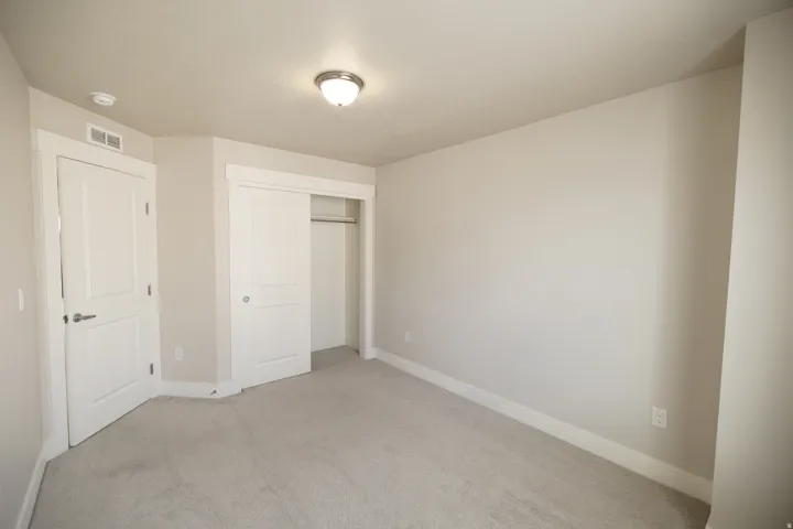 Neutral tone wall paint, light gray carpet, interior flush-panel door, sliding closet doors, ceiling-mounted light fixture