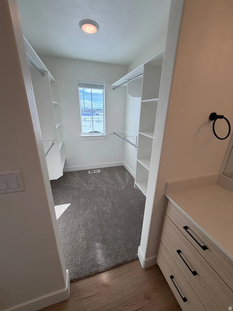 Walk in closet with dark wood-style flooring and dark carpet