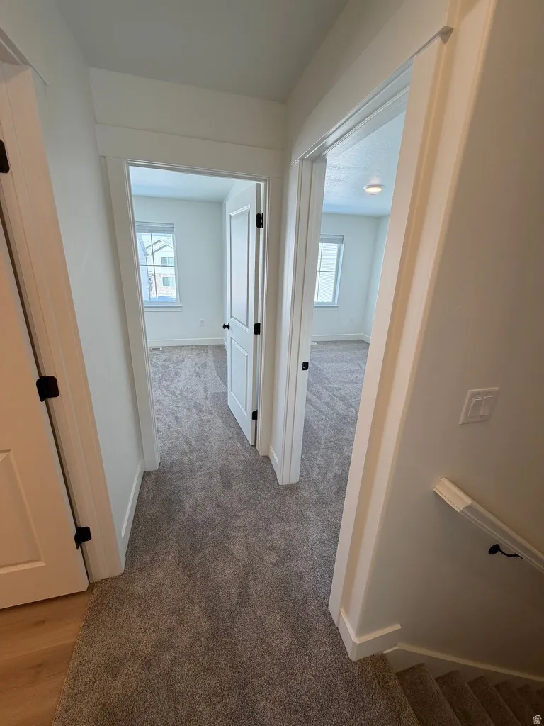 Corridor featuring plenty of natural light and light colored carpet