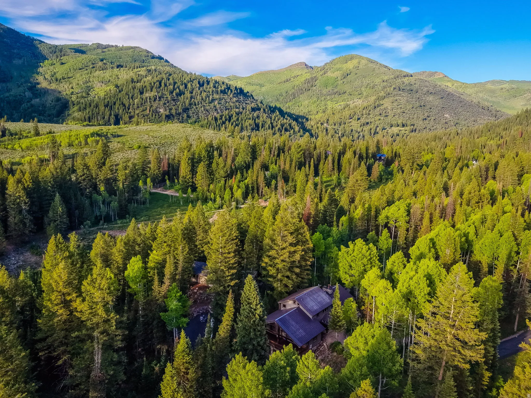 Property nestled within a dense forest of mature evergreen and deciduous trees