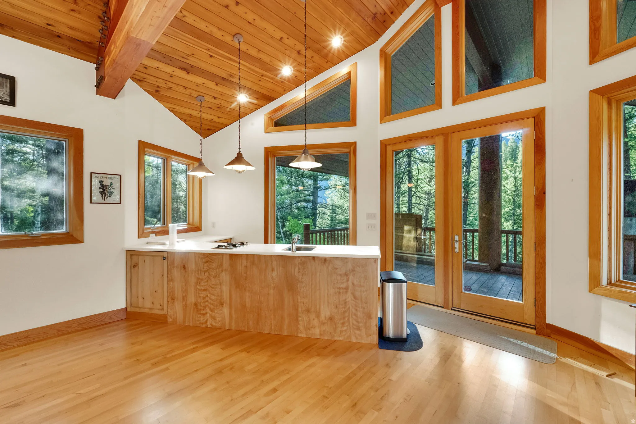 Vaulted wood-plank ceilings with exposed beams