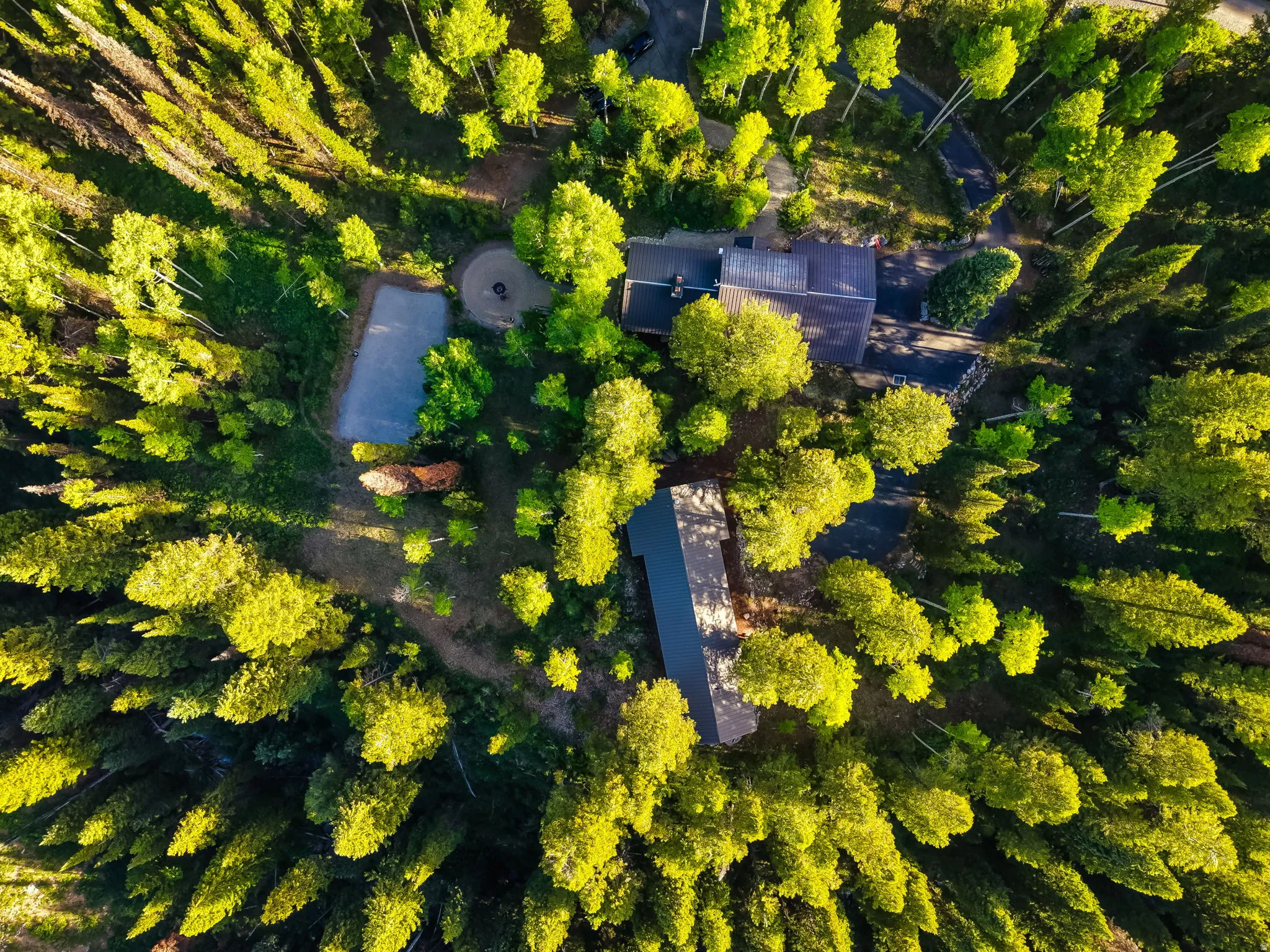 Aerial property overview set within a dense, mature forest
