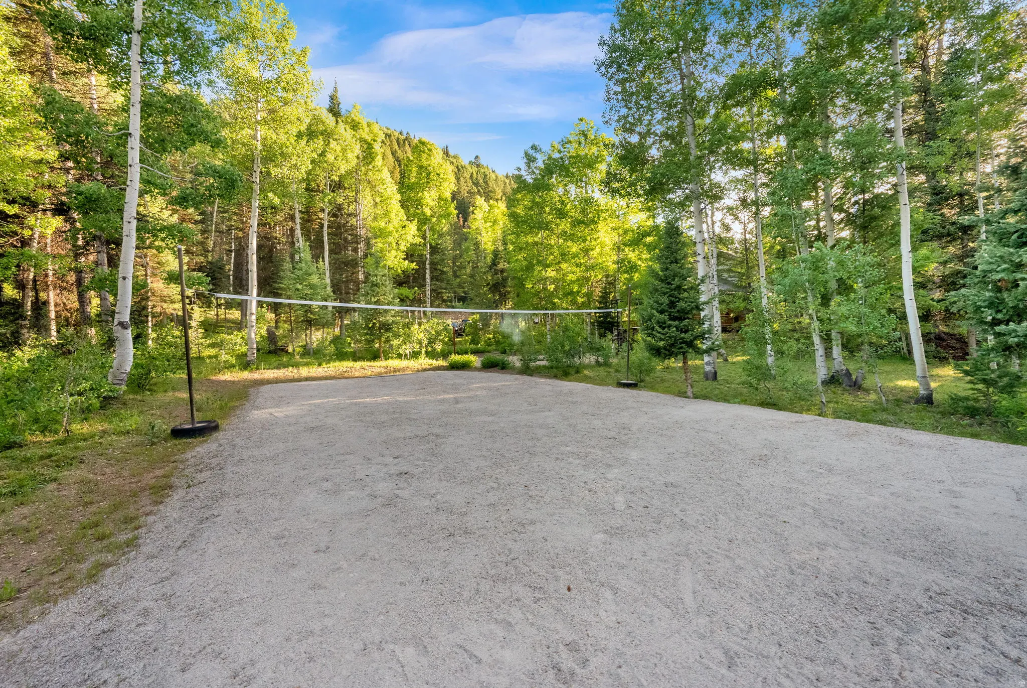 Outdoor sand court with a net, bordered by mature deciduous and evergreen trees
