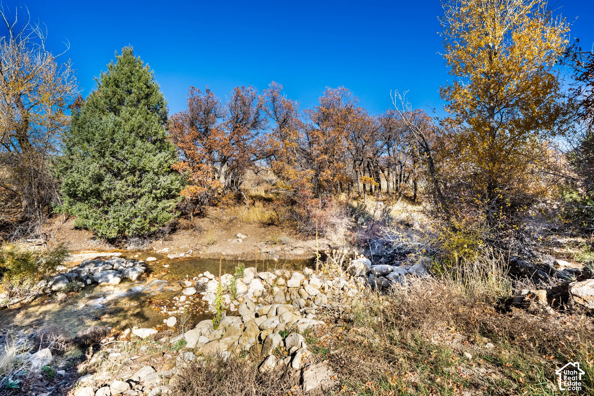 View of natural land