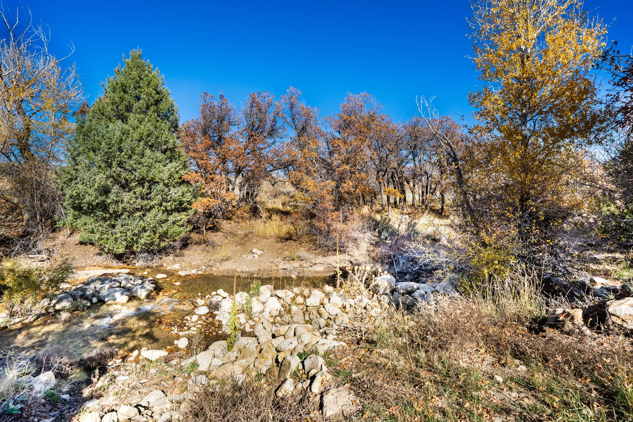 View of undeveloped land