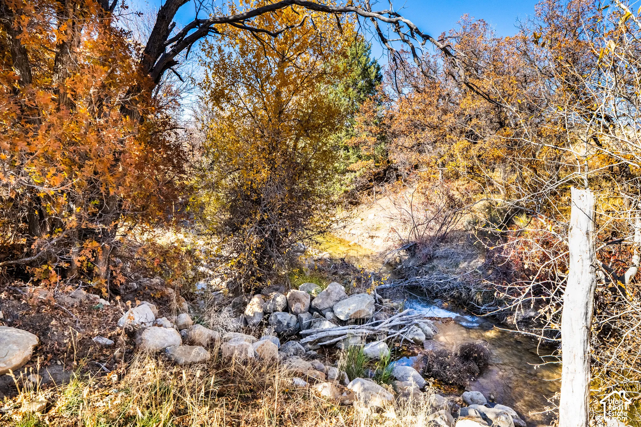 Exterior view with seasonal stream