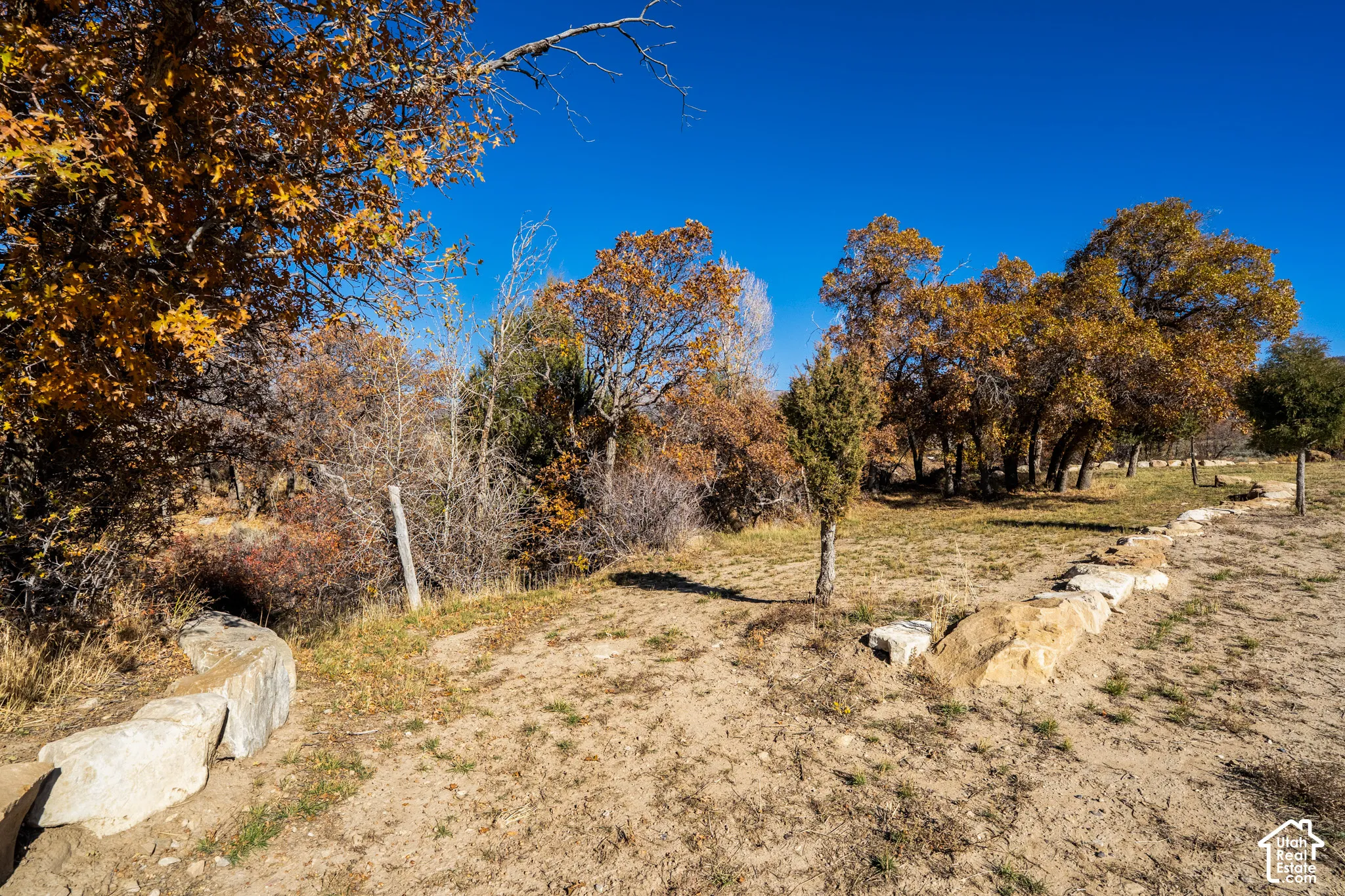 View of yard by stream