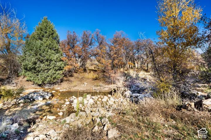 View of natural land