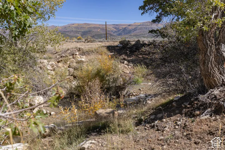 Natural landscape with a visible stream, established trees, and varied foliage