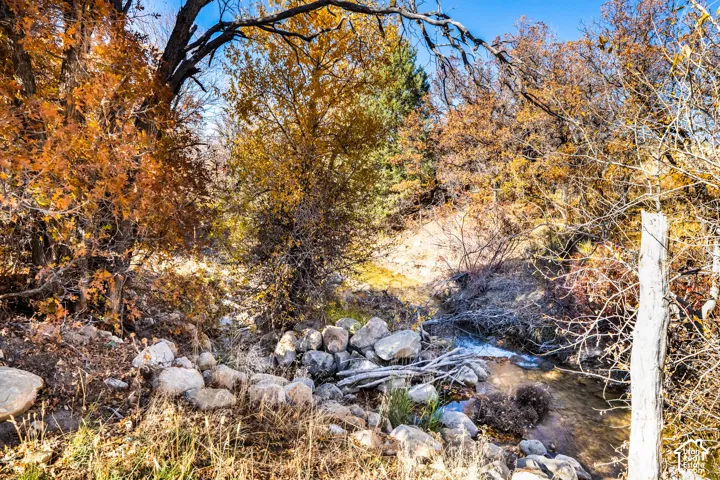 Exterior view with seasonal stream