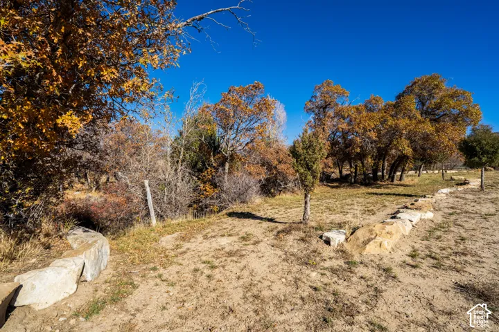 View of yard by stream