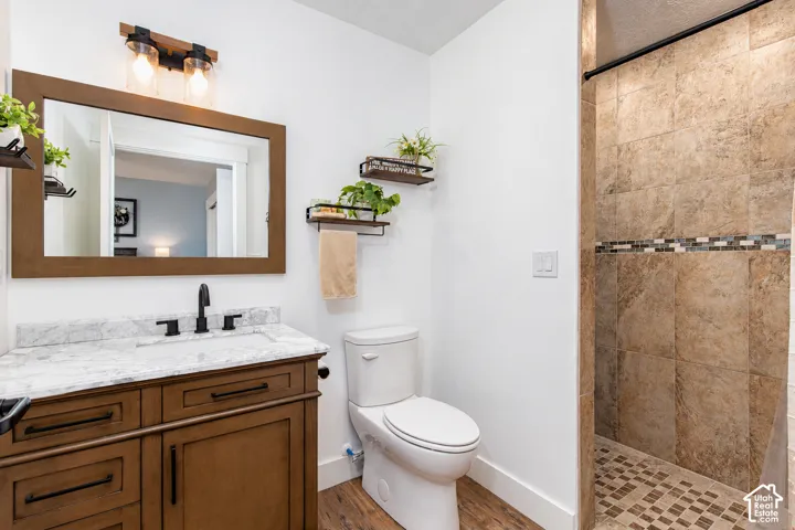 Wood-finish flooring with a vanity featuring a stone countertop and integrated sink