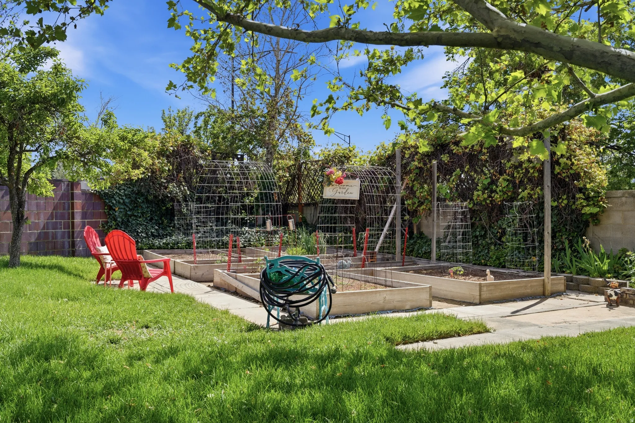 Lush green lawn with mature trees and a dedicated garden area