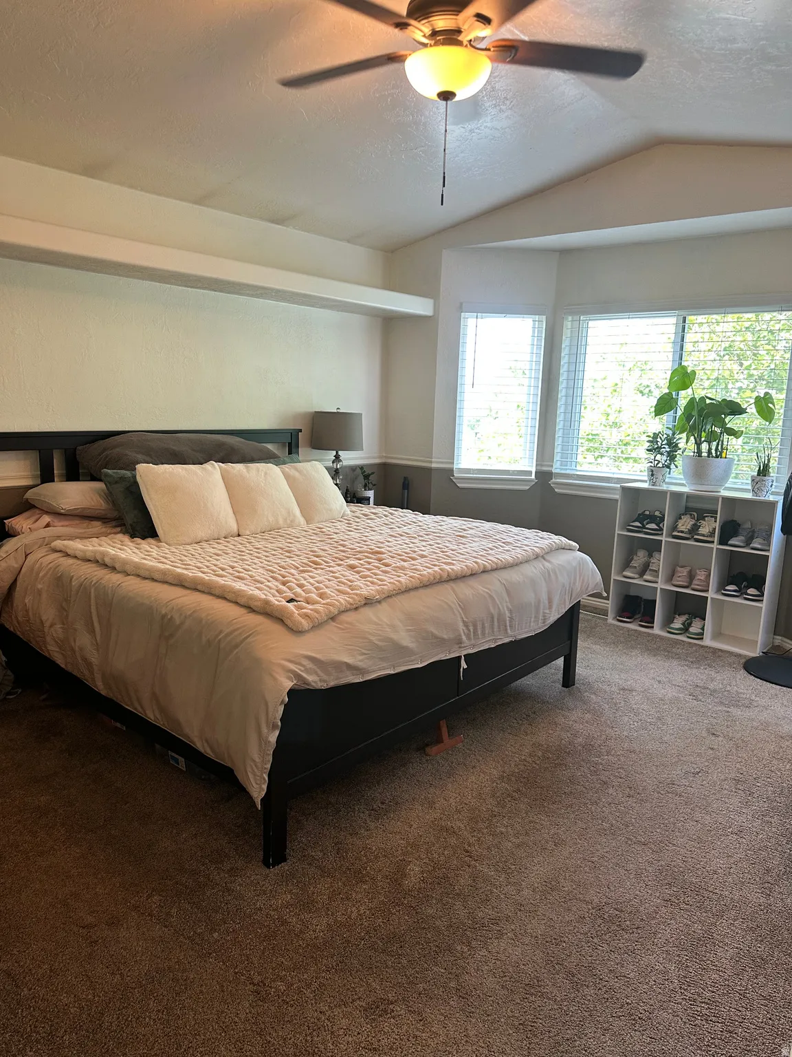 Tray ceiling with a ceiling fan light fixture, bay window, and carpeted flooring