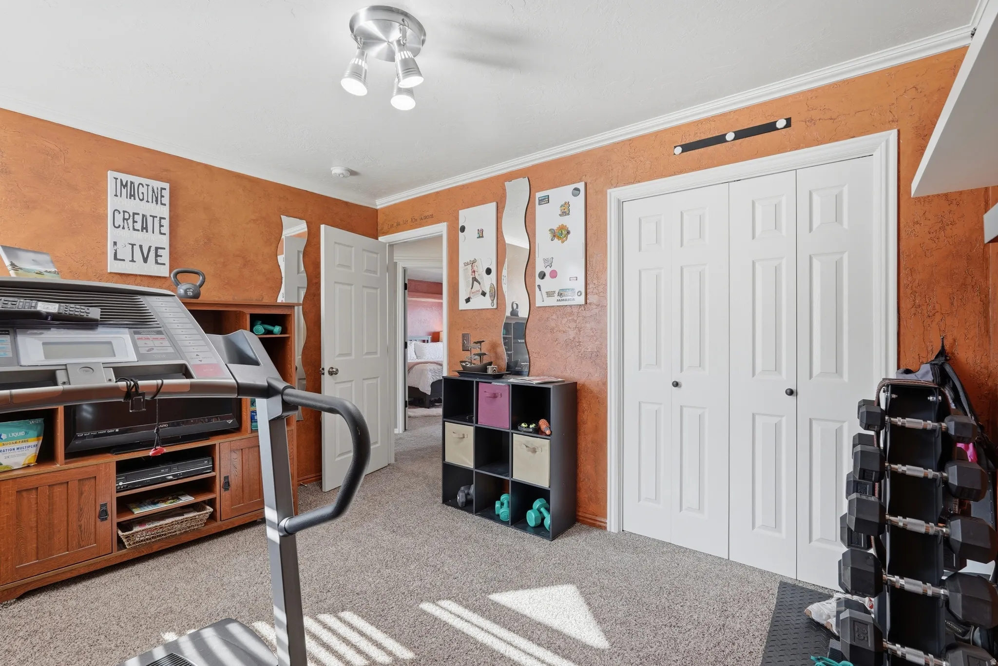Workout room featuring crown molding and light carpet