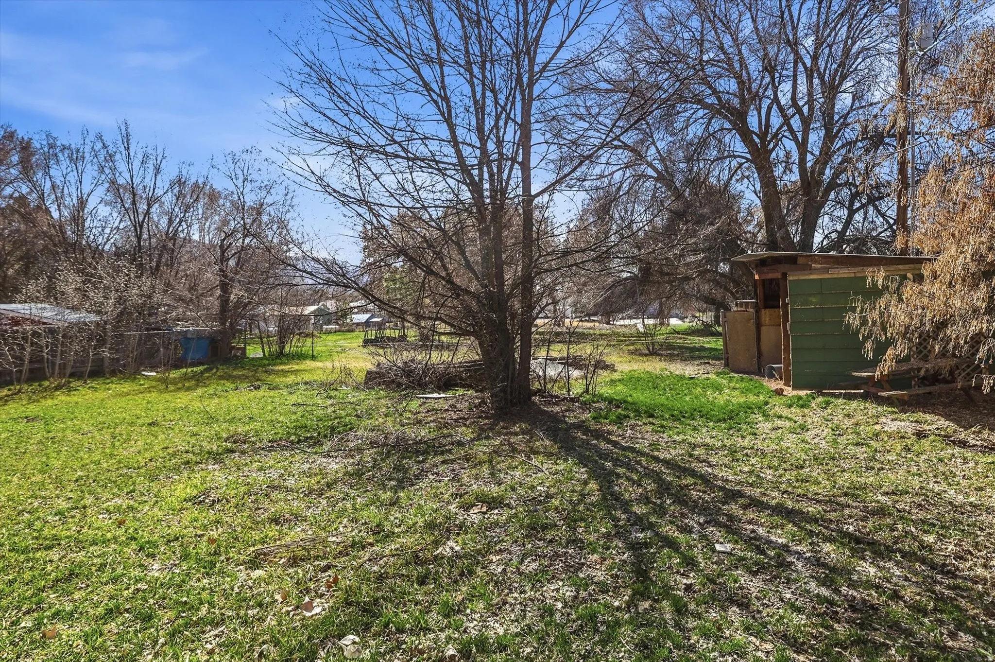 View of yard featuring a shed