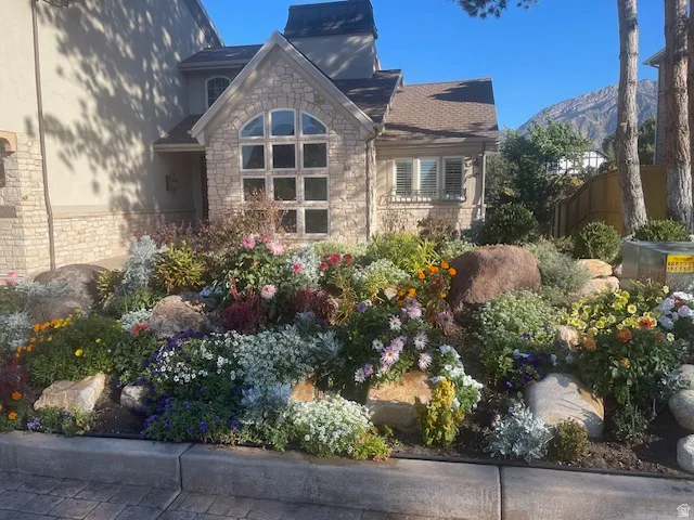 Last summer's beautiful gardens