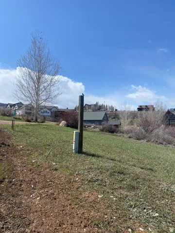 View of grassy yard